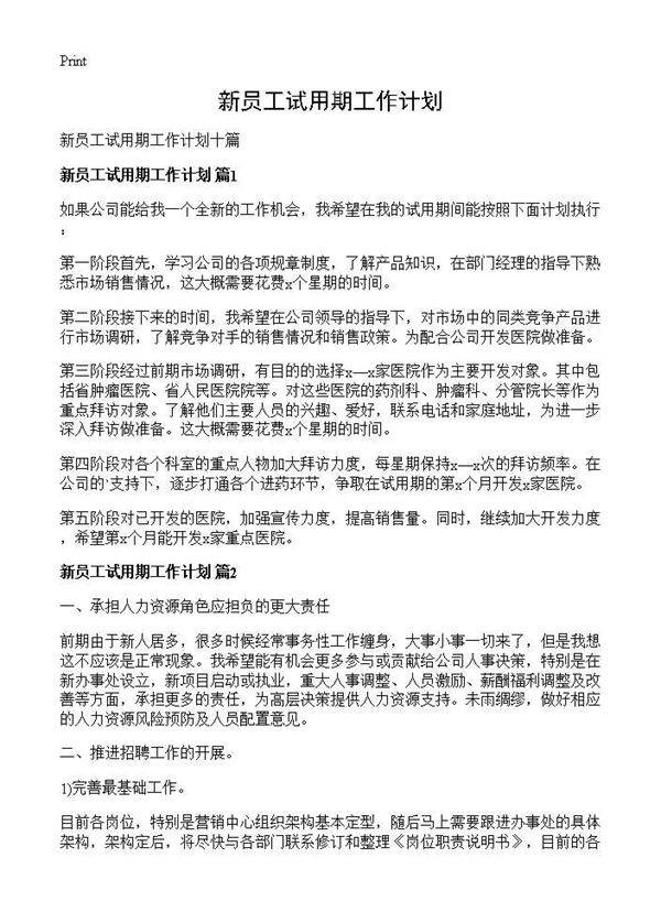 新员工试用期工作计划