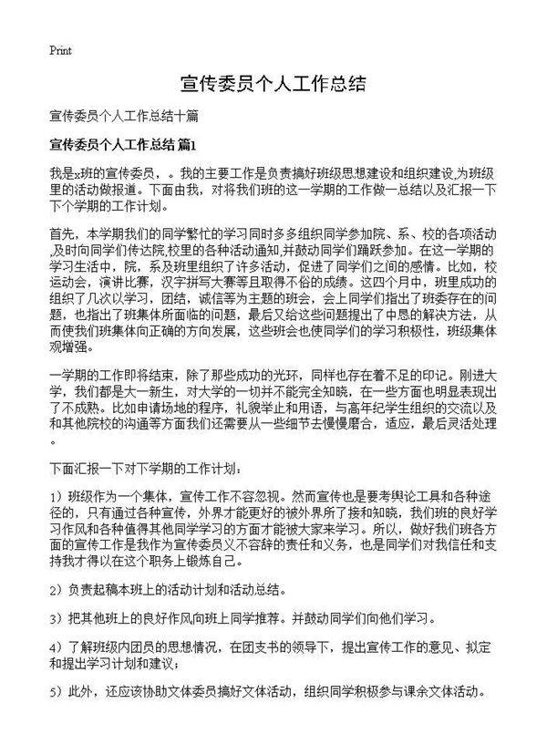 宣传委员个人工作总结