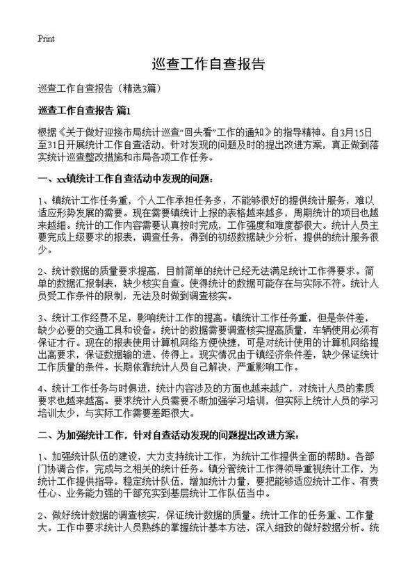 巡查工作自查报告3篇