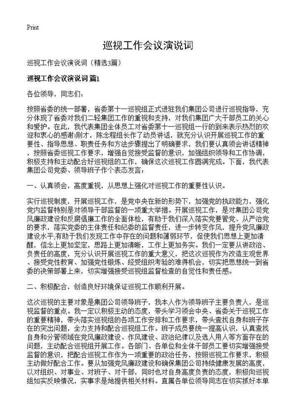 巡视工作会议演说词3篇