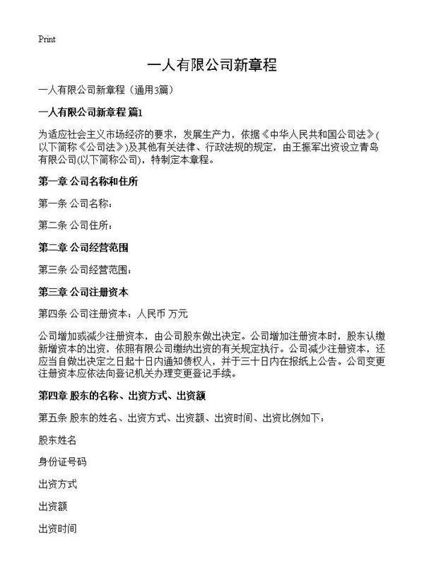 一人有限公司新章程3篇