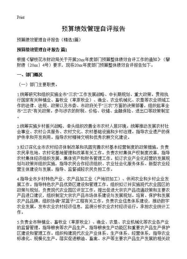 预算绩效管理自评报告3篇