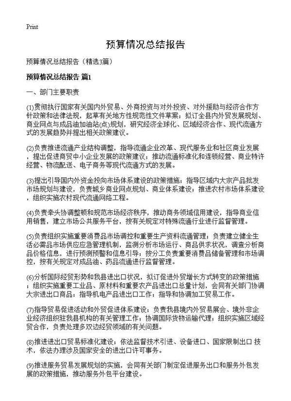 预算情况总结报告3篇