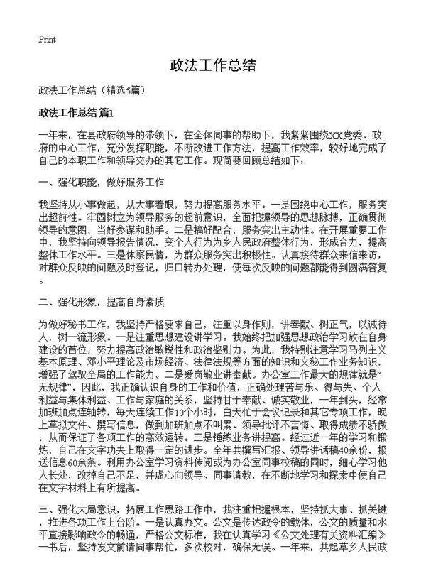 政法工作总结5篇