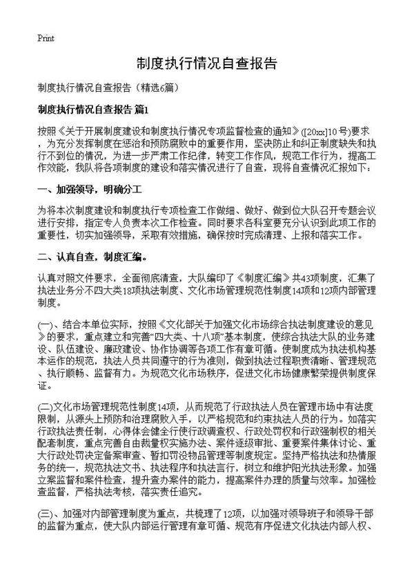 制度执行情况自查报告6篇