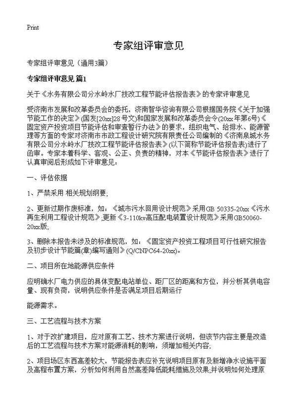 专家组评审意见3篇