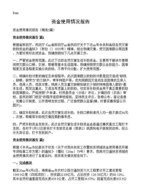资金使用情况报告5篇