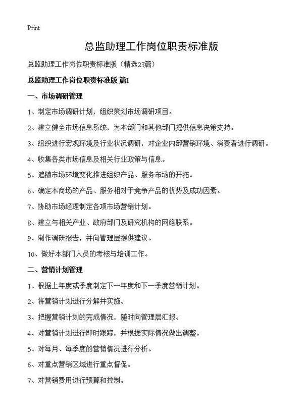 总监助理工作岗位职责标准版23篇