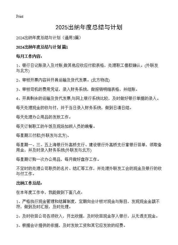 2025出纳年度总结与计划3篇