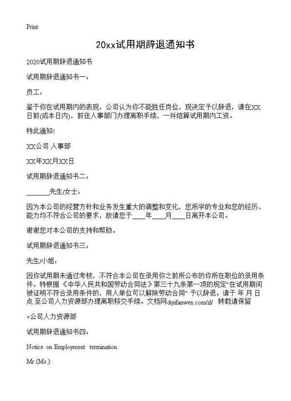 2025试用期辞退通知书