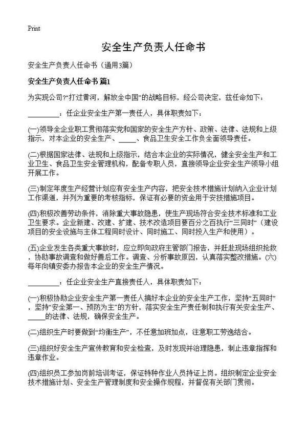 安全生产负责人任命书3篇