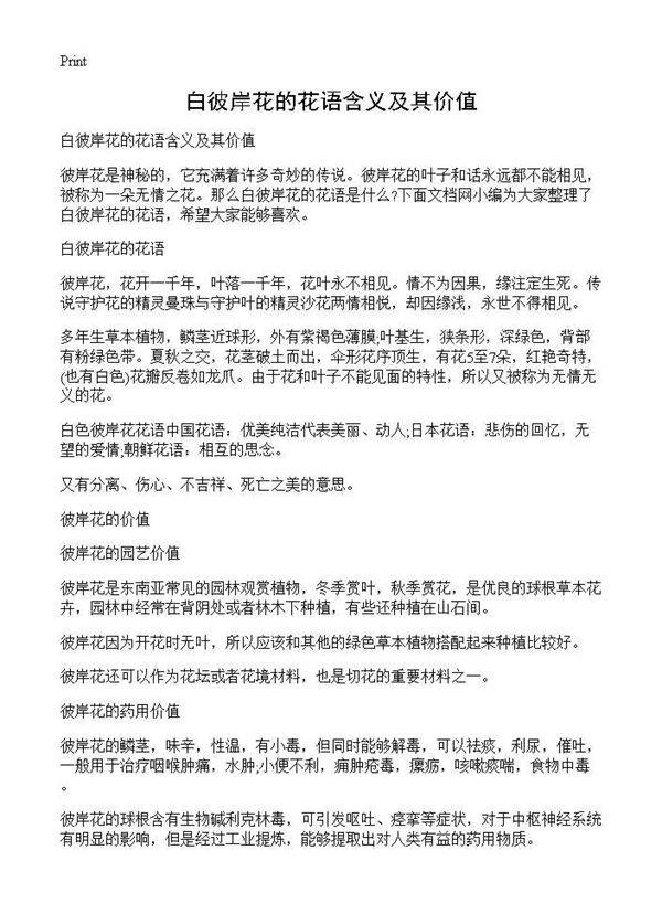 白彼岸花的花语含义及其价值