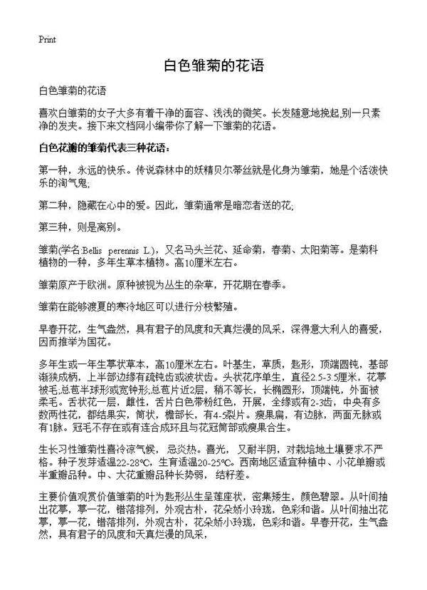 白色雏菊的花语