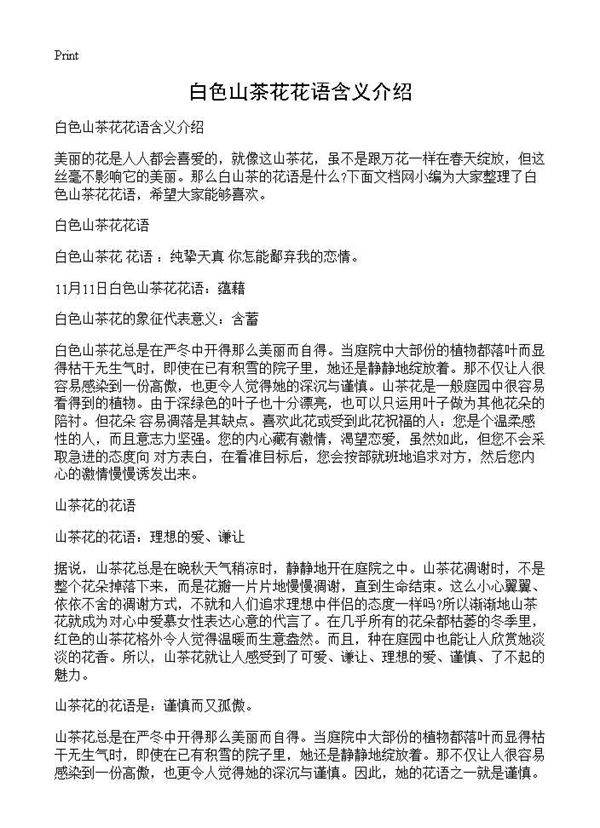 白色山茶花花语含义介绍
