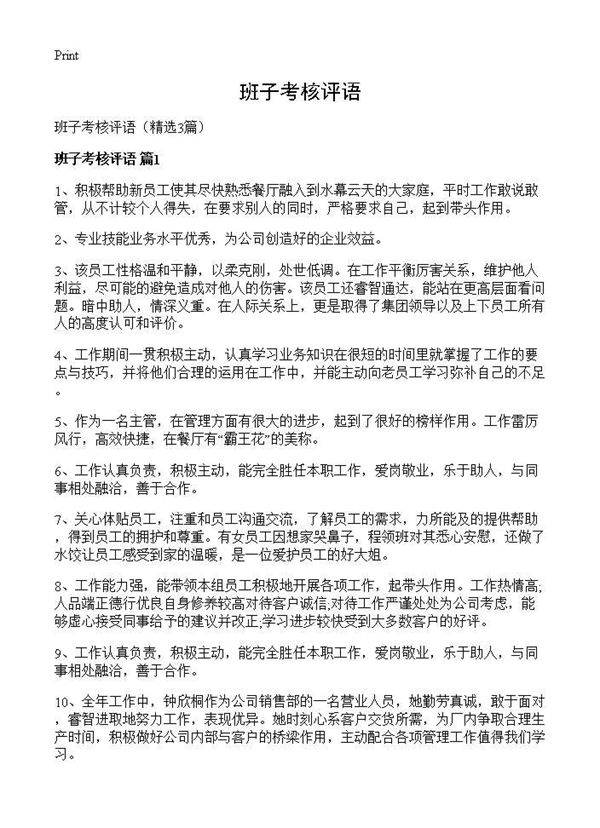 班子考核评语3篇