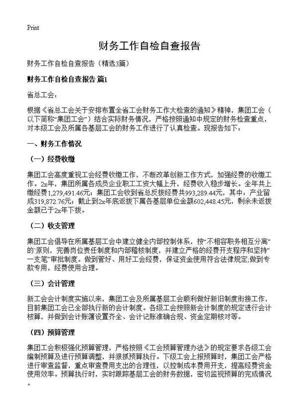 财务工作自检自查报告3篇