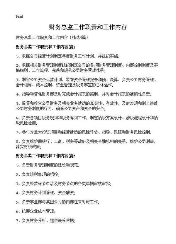 财务总监工作职责和工作内容5篇