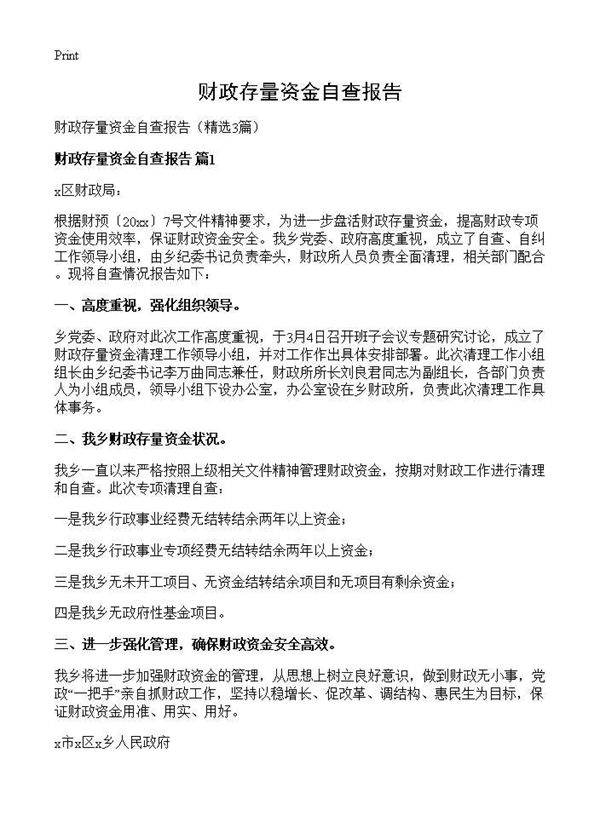 财政存量资金自查报告3篇