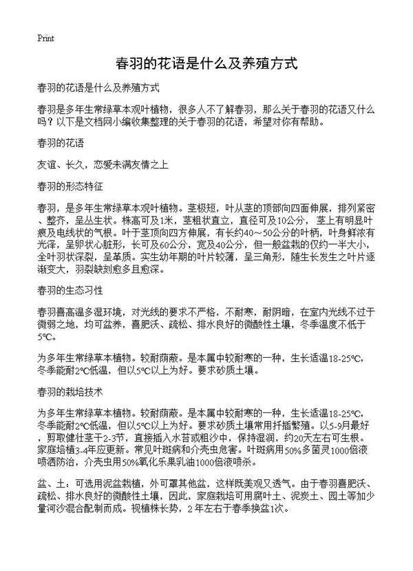 春羽的花语是什么及养殖方式