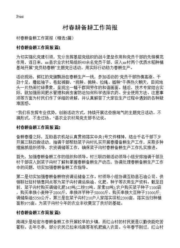 村春耕备耕工作简报5篇