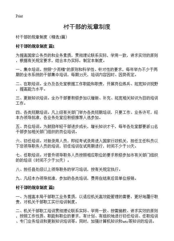 村干部的规章制度3篇