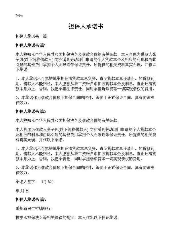 担保人承诺书