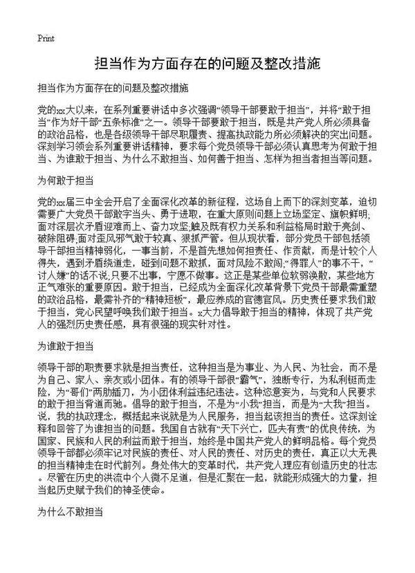 担当作为方面存在的问题及整改措施
