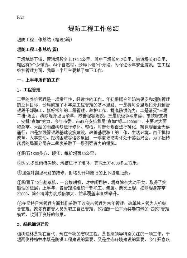 堤防工程工作总结3篇