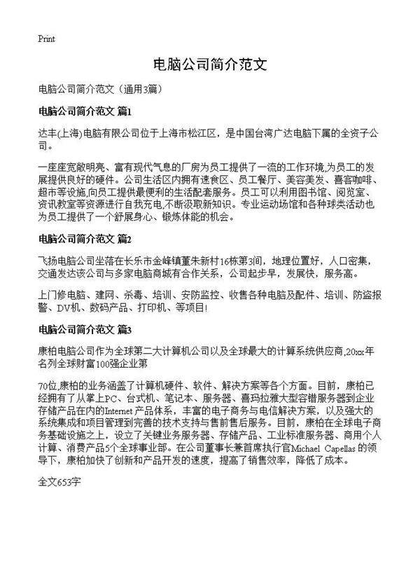 电脑公司简介范文3篇