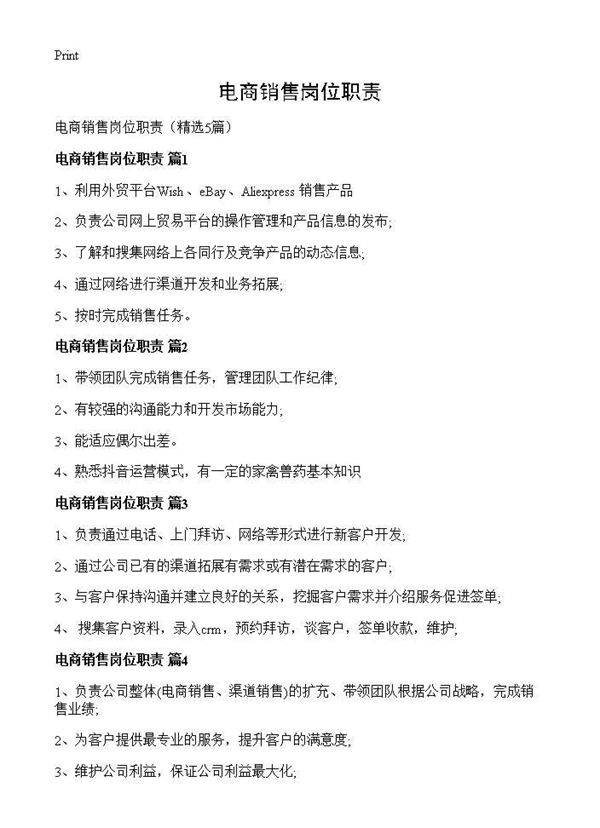 电商销售岗位职责5篇