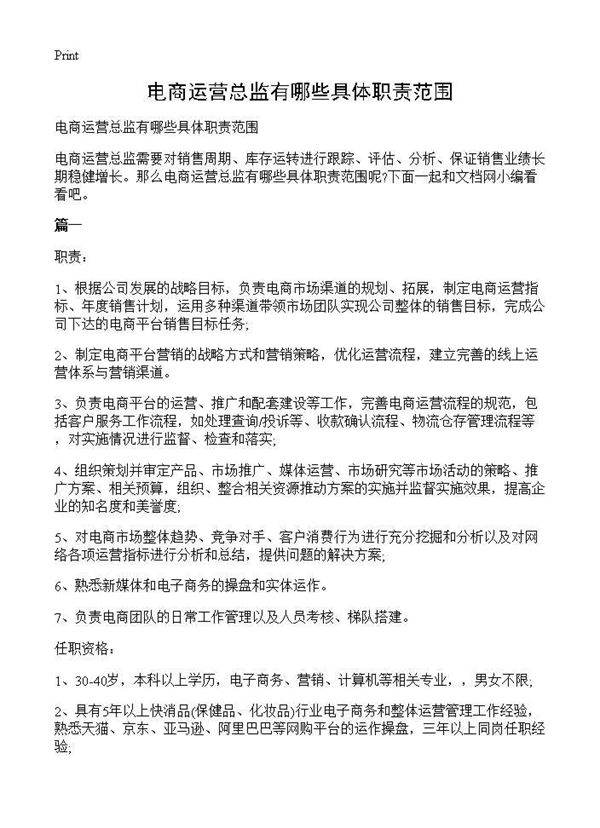电商运营总监有哪些具体职责范围