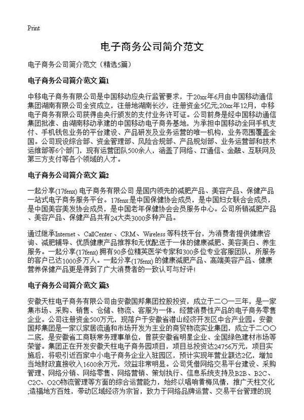 电子商务公司简介范文5篇