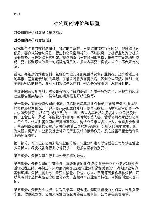 对公司的评价和展望3篇