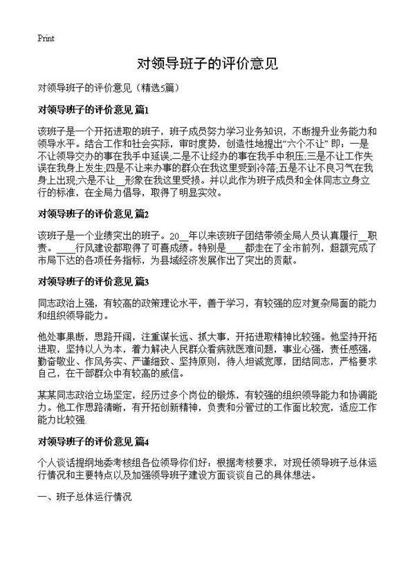 对领导班子的评价意见5篇