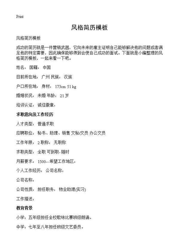 风格简历模板