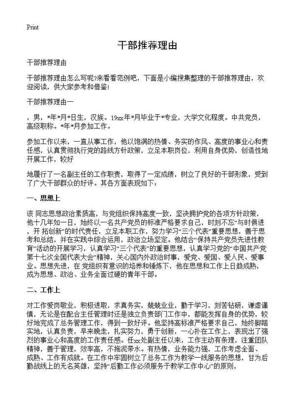 干部推荐理由