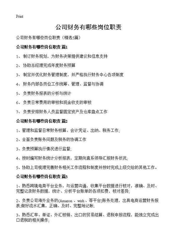 公司财务有哪些岗位职责5篇