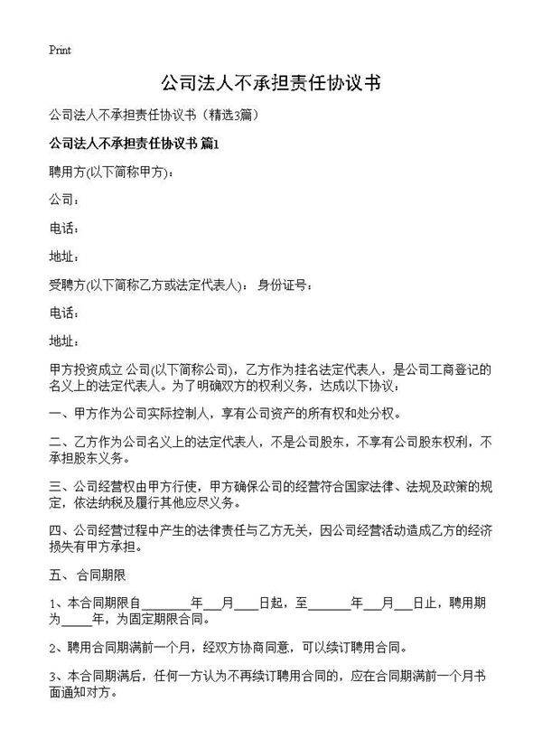 公司法人不承担责任协议书3篇