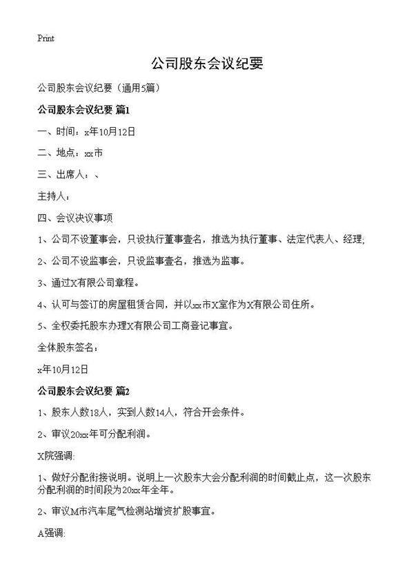 公司股东会议纪要5篇