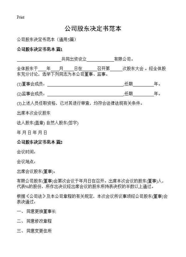 公司股东决定书范本5篇