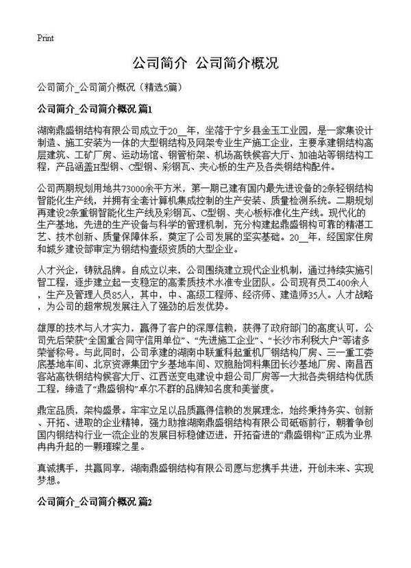 公司简介 公司简介概况5篇