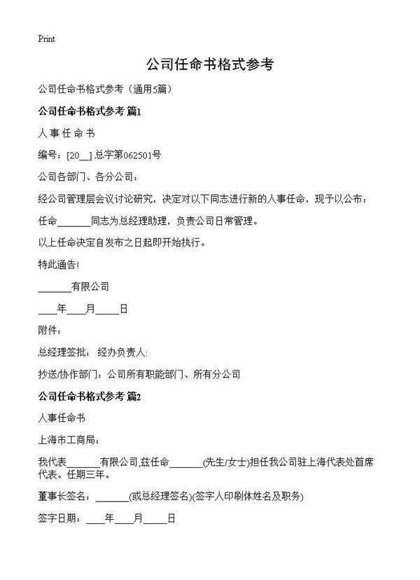 公司任命书格式参考5篇