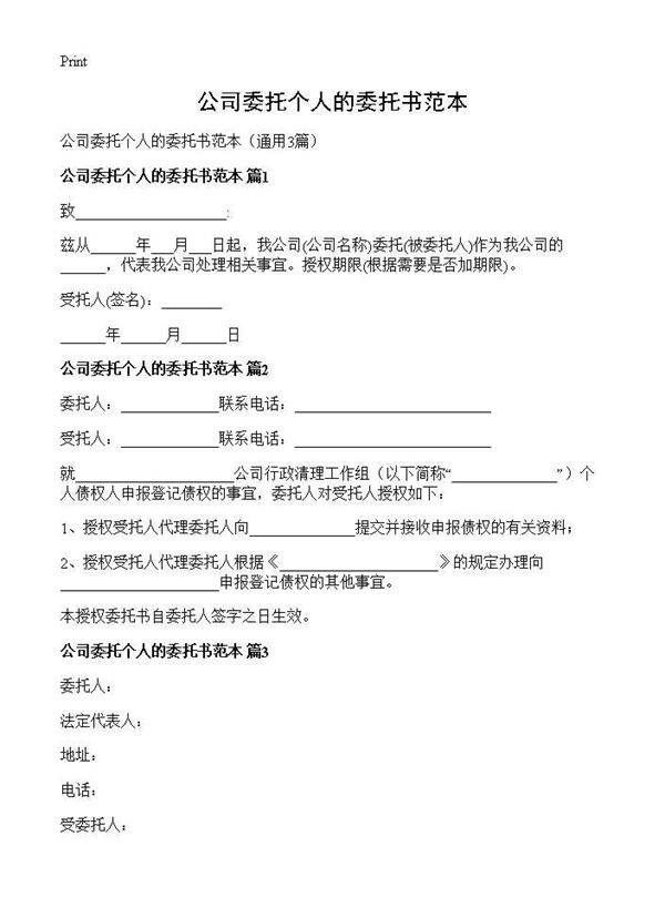 公司委托个人的委托书范本3篇