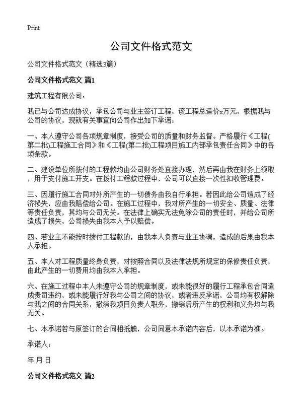 公司文件格式范文3篇