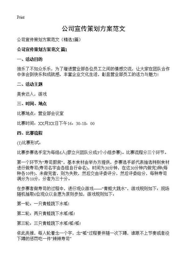 公司宣传策划方案范文3篇