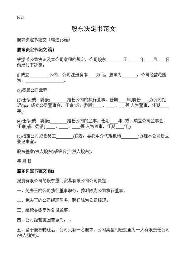 股东决定书范文16篇