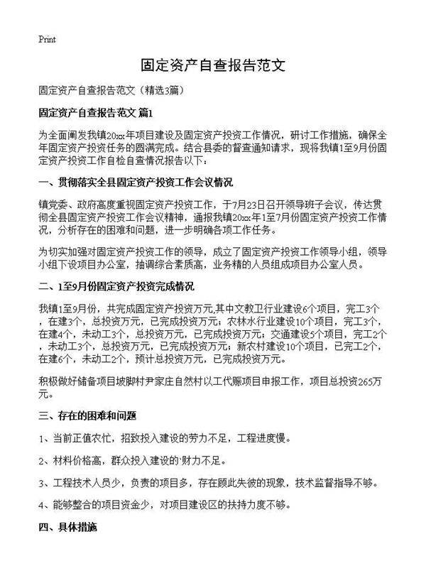 固定资产自查报告范文3篇