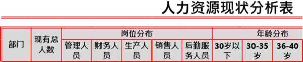 人力资源现状分析表