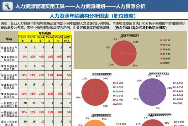 人力资源年龄结构分析(职位维度)可视化表格模板
