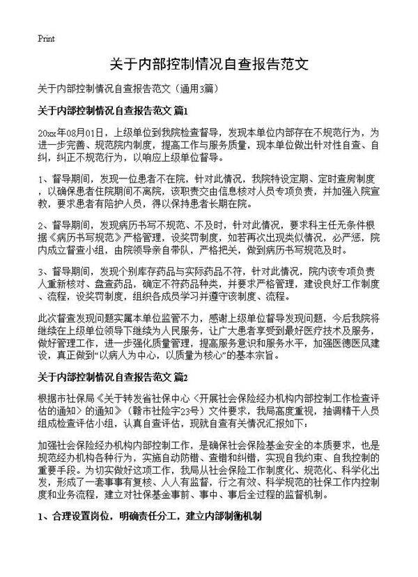 关于内部控制情况自查报告范文3篇